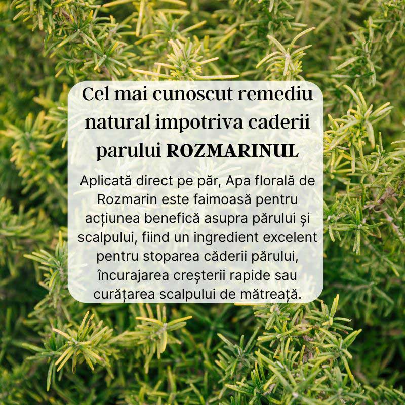 Apa de Rozmarin Hidrosol - Image 3