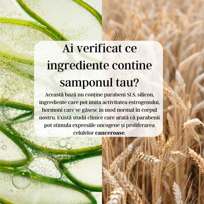 Baza de sampon cu Proteina de Grau si Aloe Vera - Image 4
