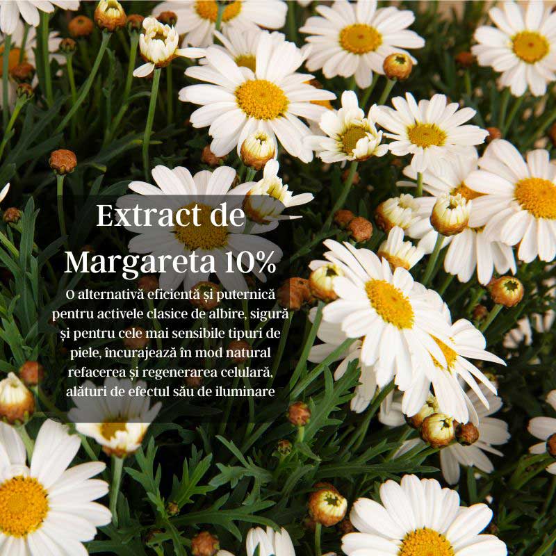 Anti Dark Spot Cream - Crema pentru Pete Pigmentare cu Extract de Margareta - Image 5