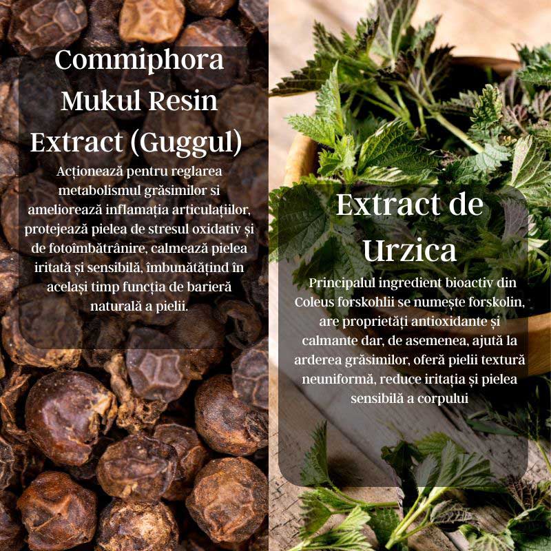 Body Sculpture Cream - Crema anticelulitica/remodelatoare cu Alge Marine, Nuc si Guggul - Image 5