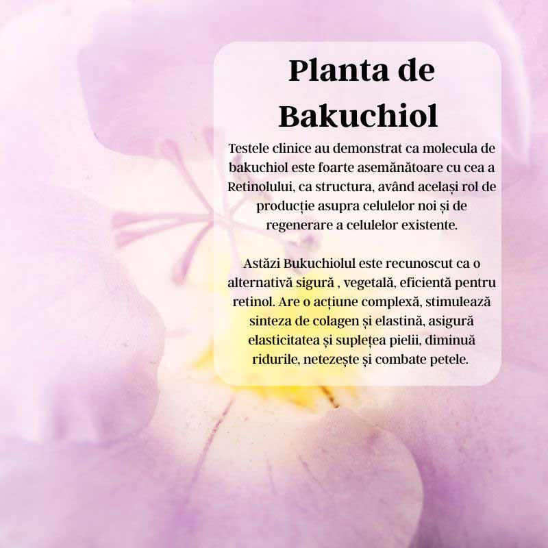 Botanic Retinol - Ser cu Bakuchiol 2%, Vitamina A si Niacinamide - Image 4