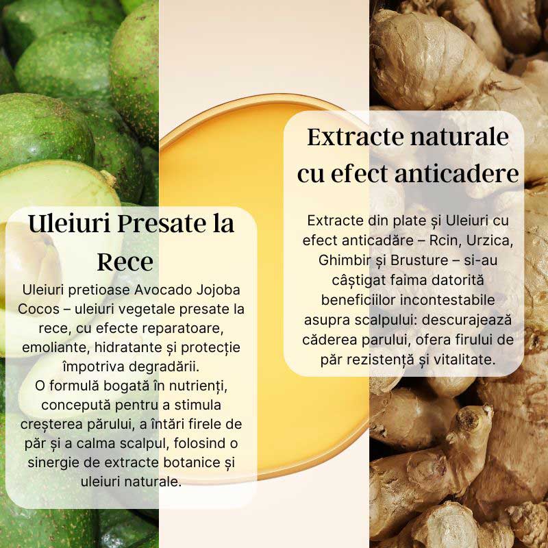 Growth and Repair - Sampon fortifiant cu Ulei Avocado, Ricin, Ghimbir si Brusture - Image 4