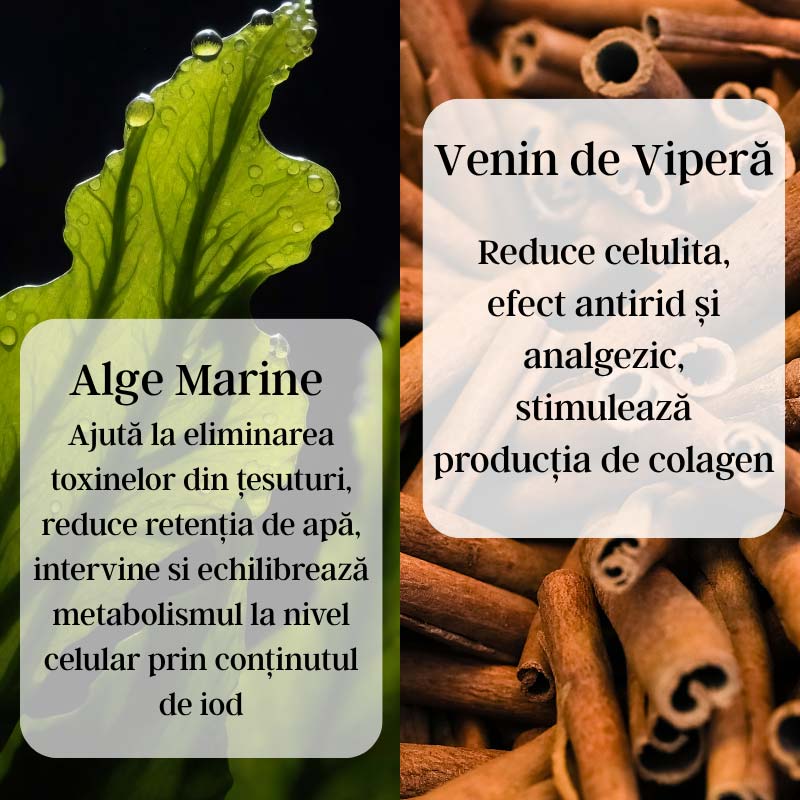 CelluControl Serum - Ser anticelulitic cu Venin de Vipera, Alge Marine si Scortisoara - imagine 6